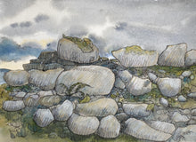 Load image into Gallery viewer, Weeds and Wilderness Postcard Collection (18)