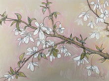 Load image into Gallery viewer, Weeds and Wilderness Postcard Collection (18)