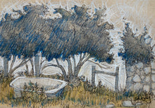 Load image into Gallery viewer, Weeds and Wilderness Postcard Collection (18)