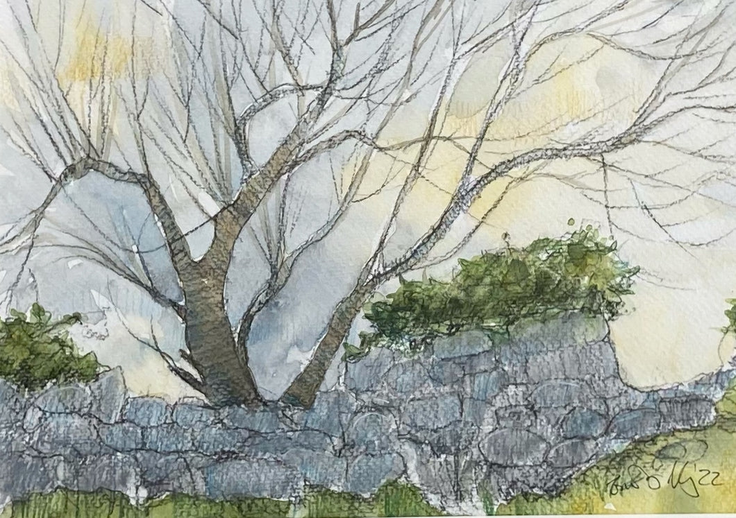 Winter Orchard Light - UNFRAMED